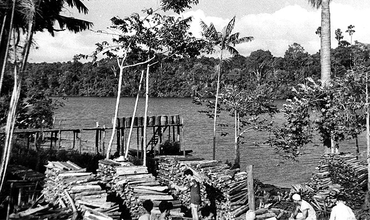  <strong> Porto de lenha </strong> no baixo Tocantins para navegação fluvial a vapor      