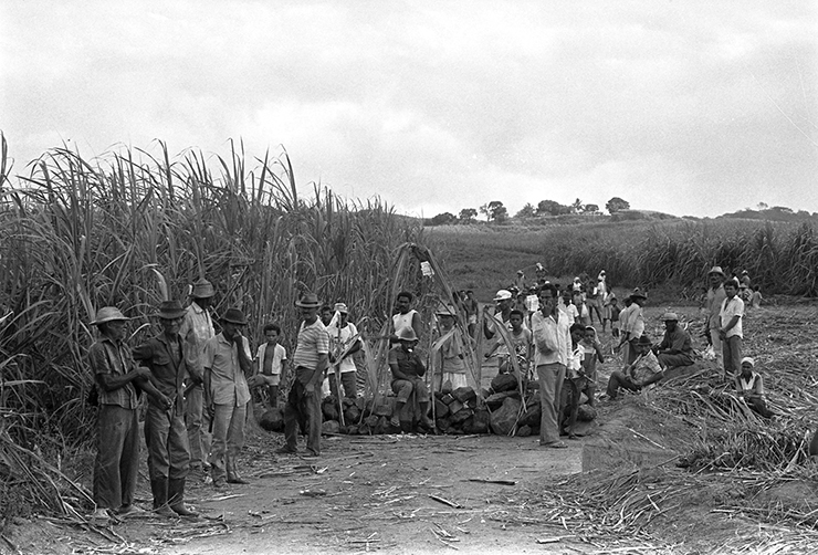  Em 1989, 250 mil canavieiros já haviam entrado em greve em Pernambuco por piso salarial   